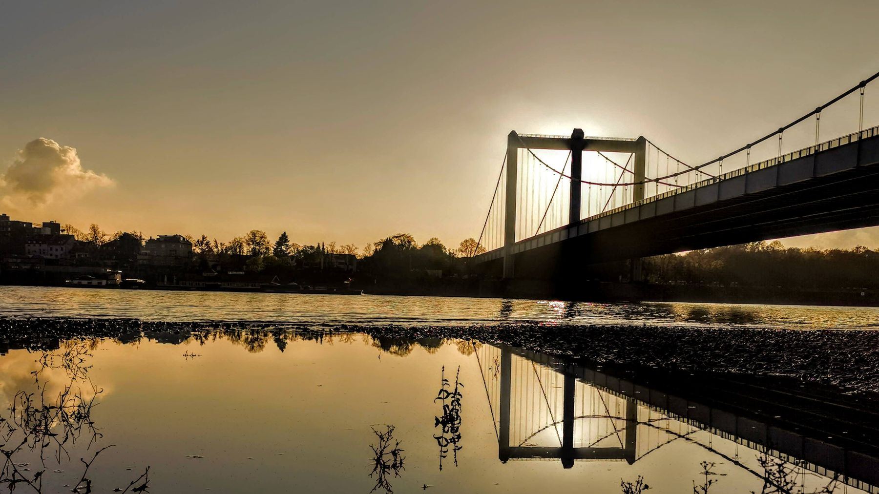 Die Rodenkirchener Brücke im Abendlicht, gespiegelt im Rhein